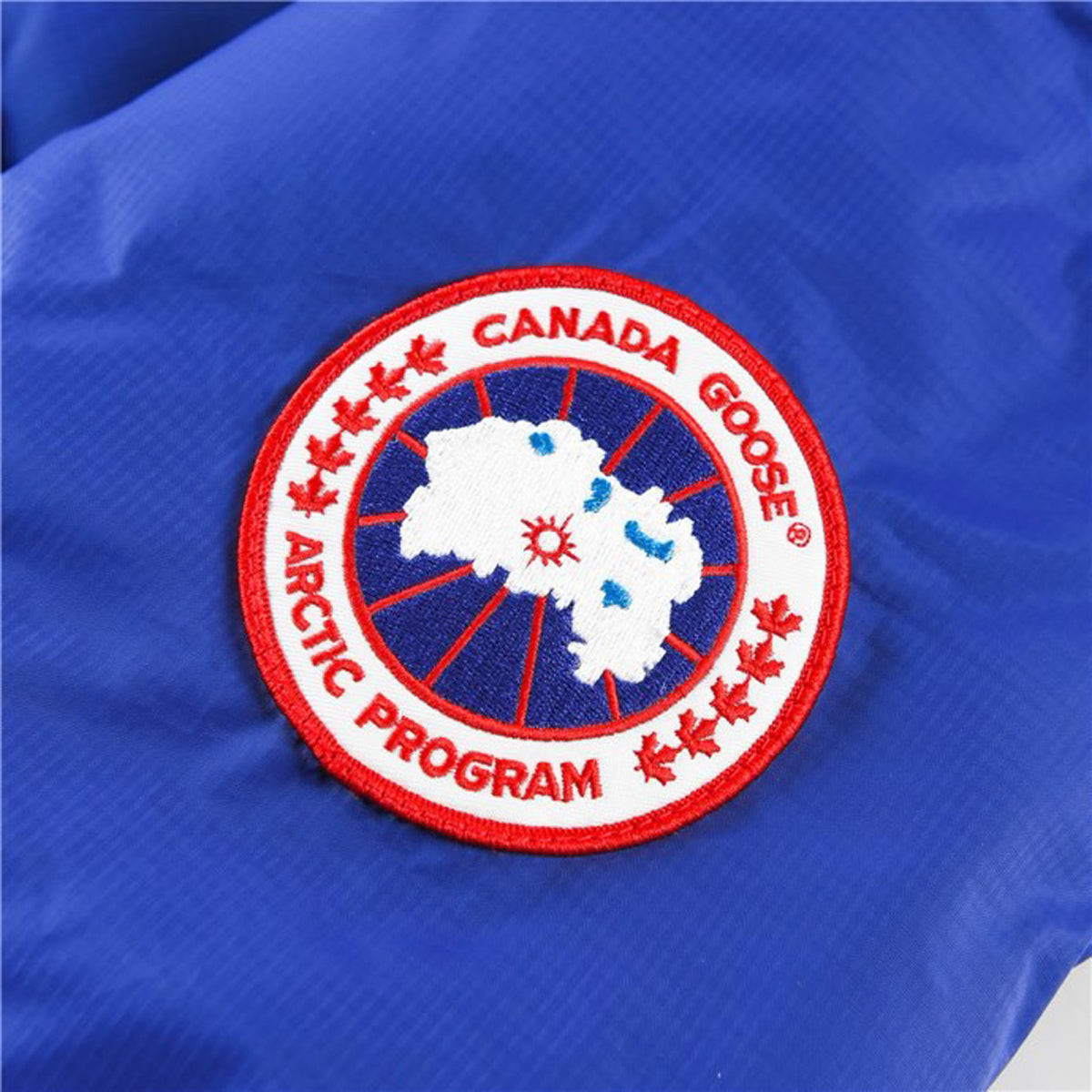 Canada Goose Approach Down Jacket – Sky Blue (Men's)