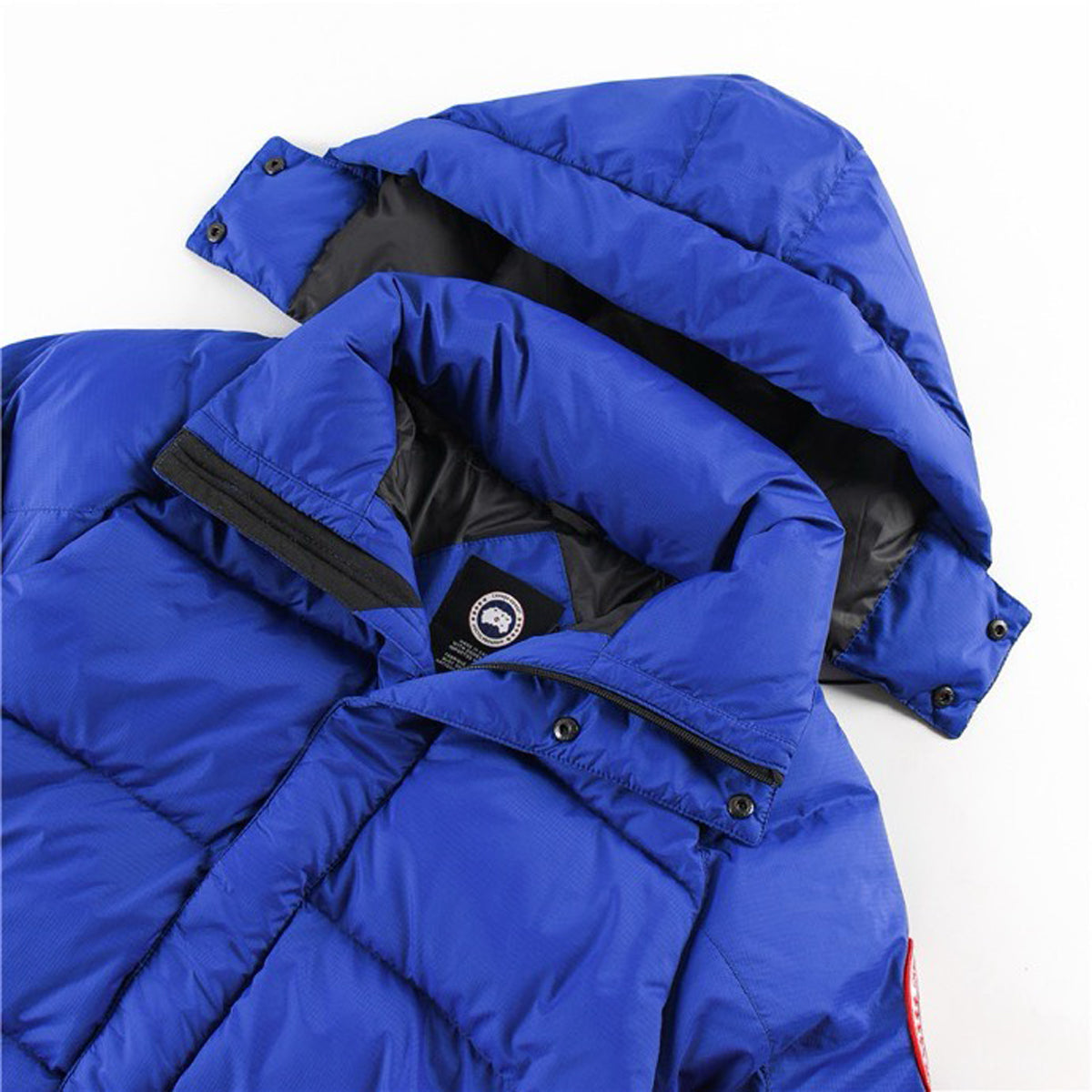 Canada Goose Approach Down Jacket – Sky Blue (Men's)